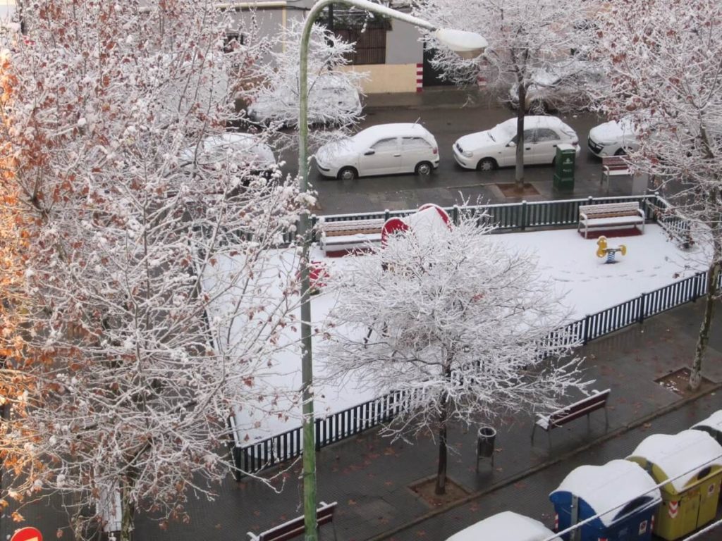 Nieve en Palma