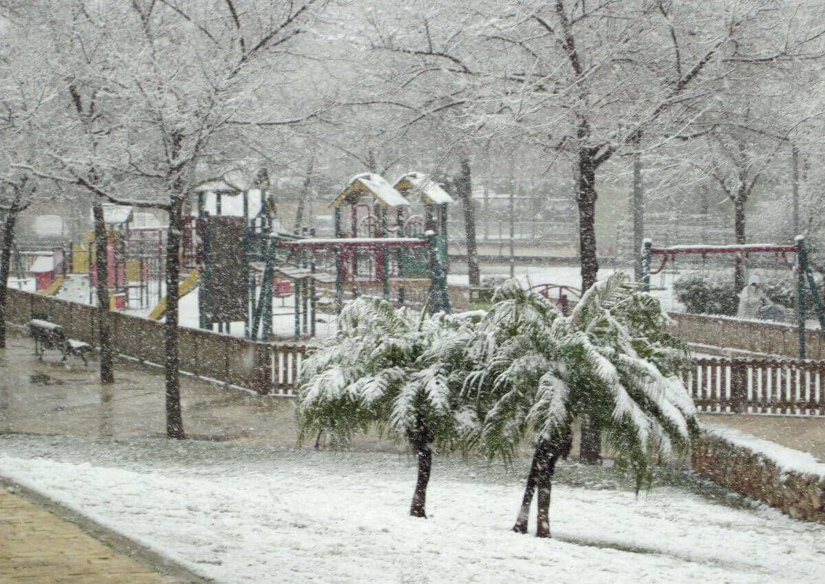 Nieve en Palma