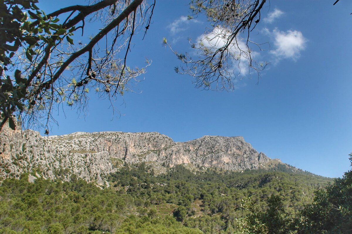 Reserva Puig de Galatzó