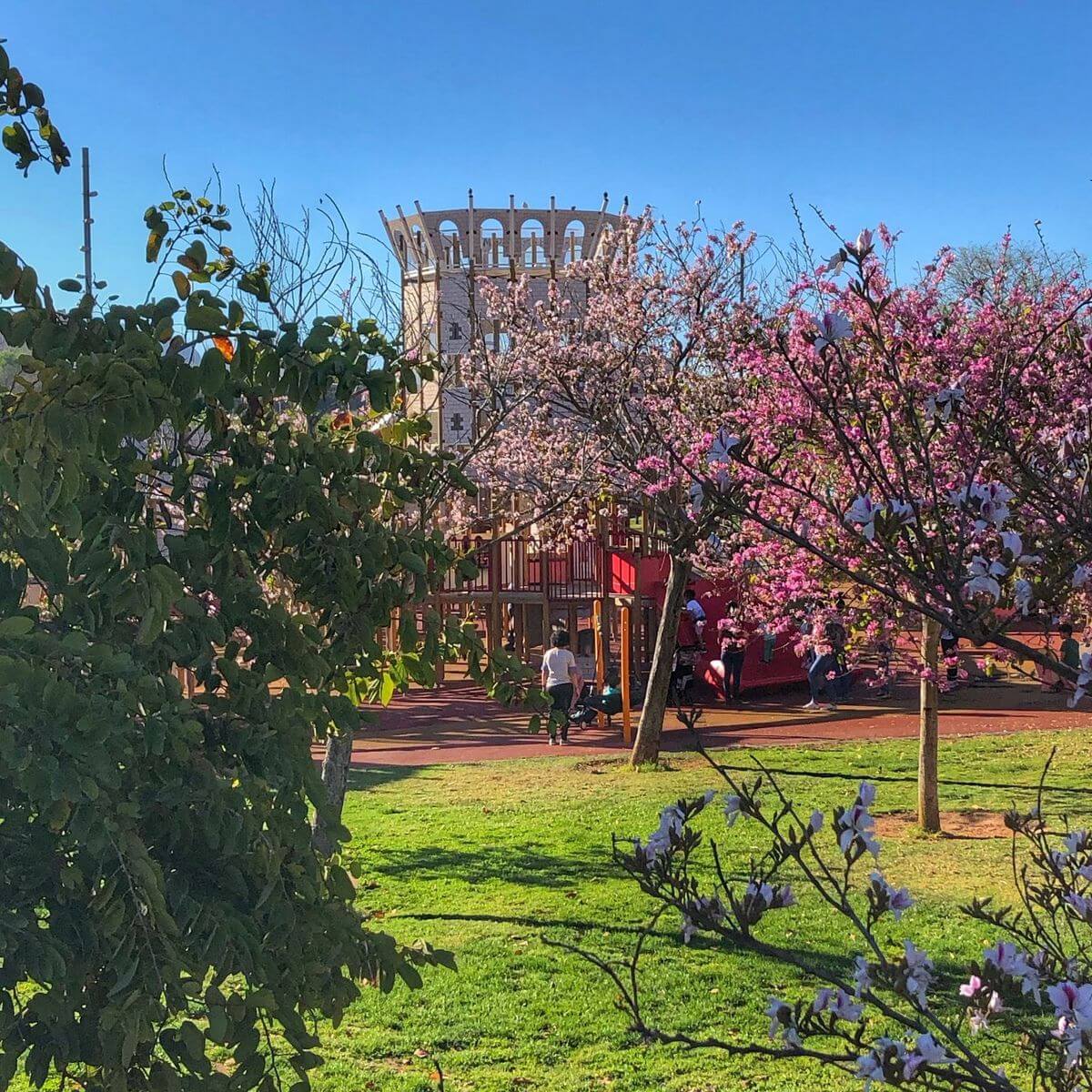 Castillo del Parc de Sa Riera