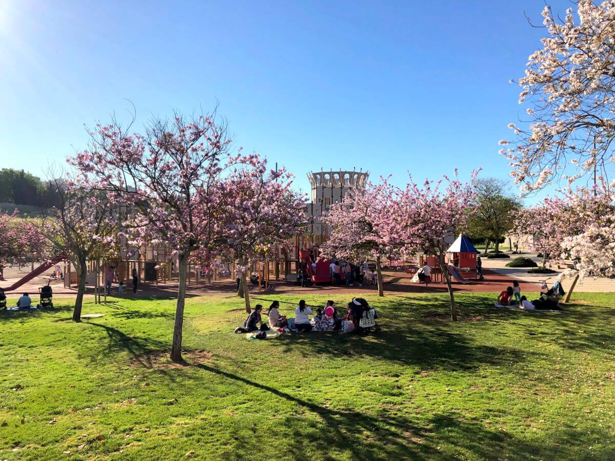 Zona césped del Parc de Sa Riera