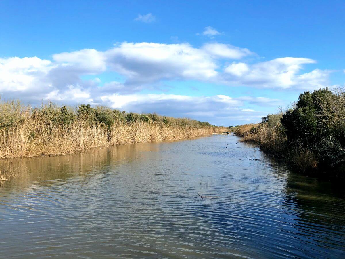 Parc natural de S'Albufera