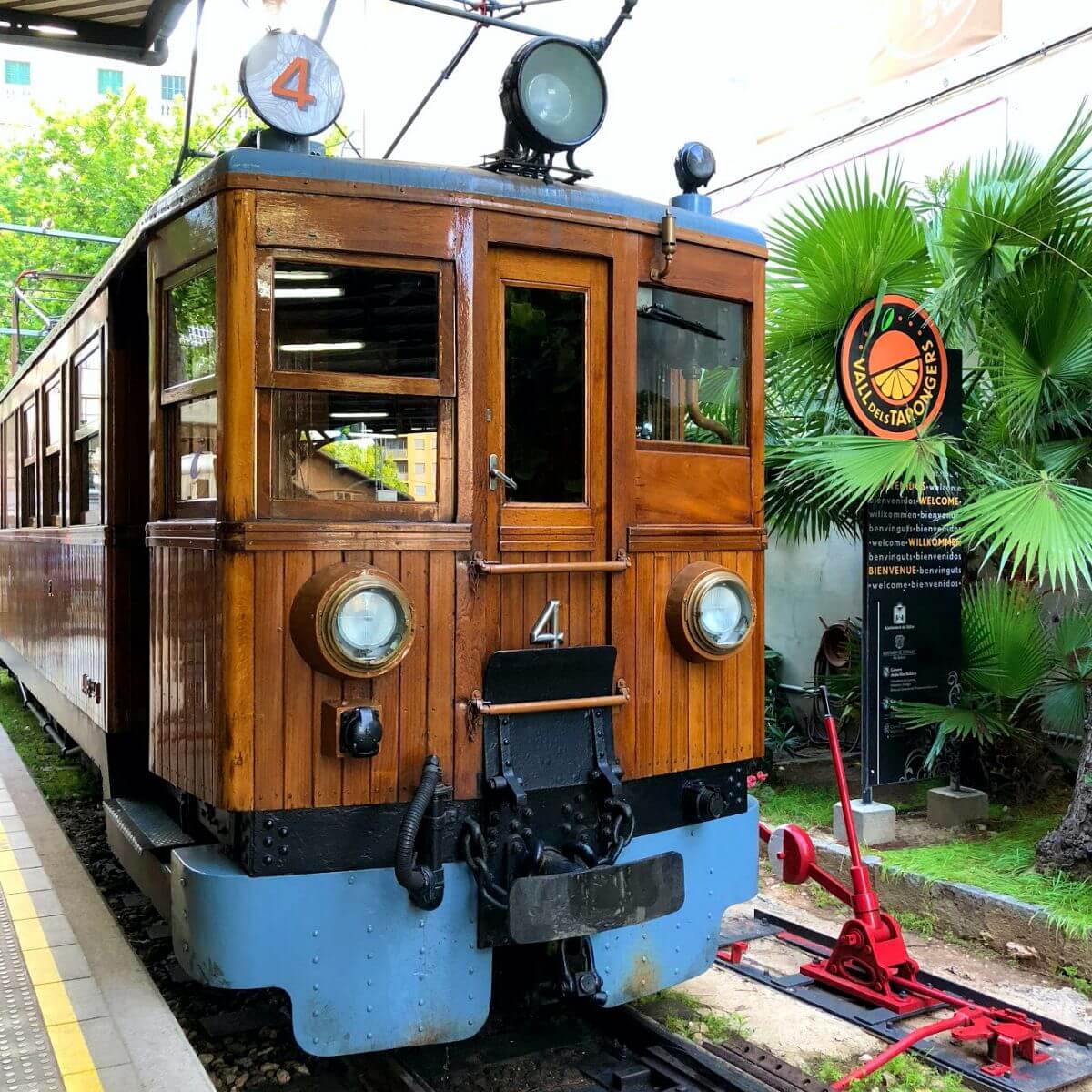 Ruta con el tren de Sóller