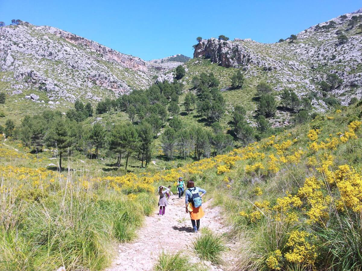 Excursiones por la Finca Pública de Galatzó