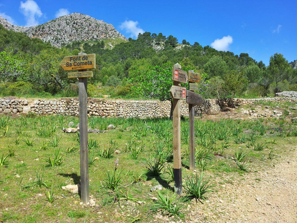 Excursión a la Finca Pública de Galatzó