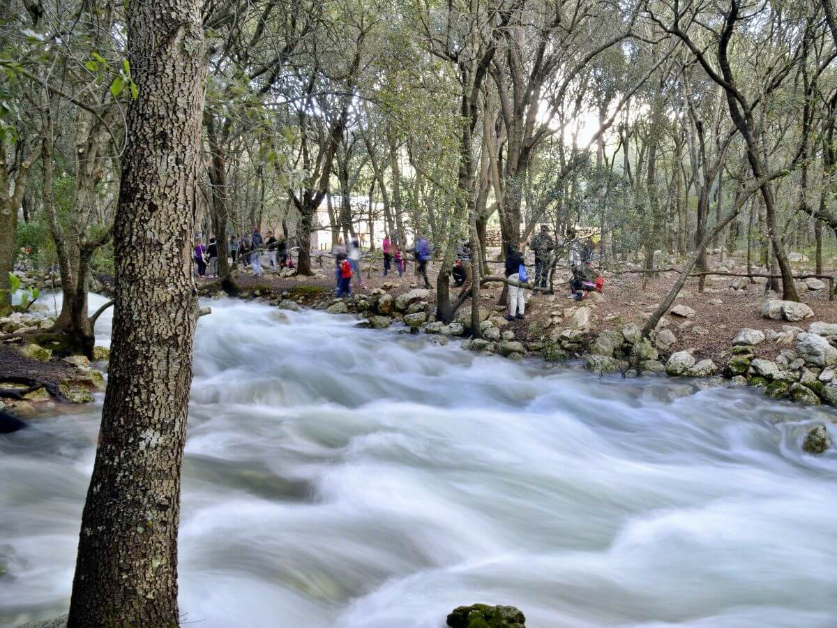 Excursión a Ses Fonts Ufanes