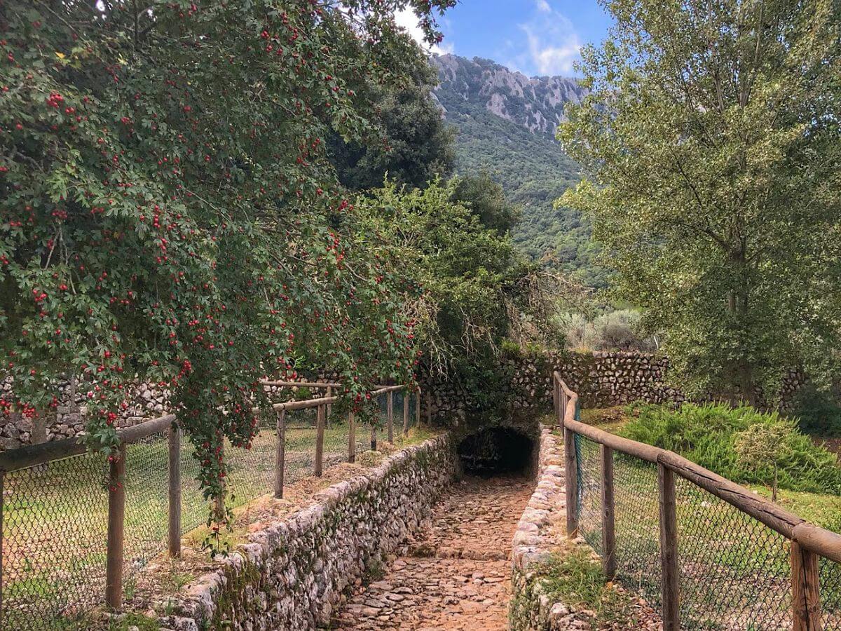 Zonas de acampada en Mallorca