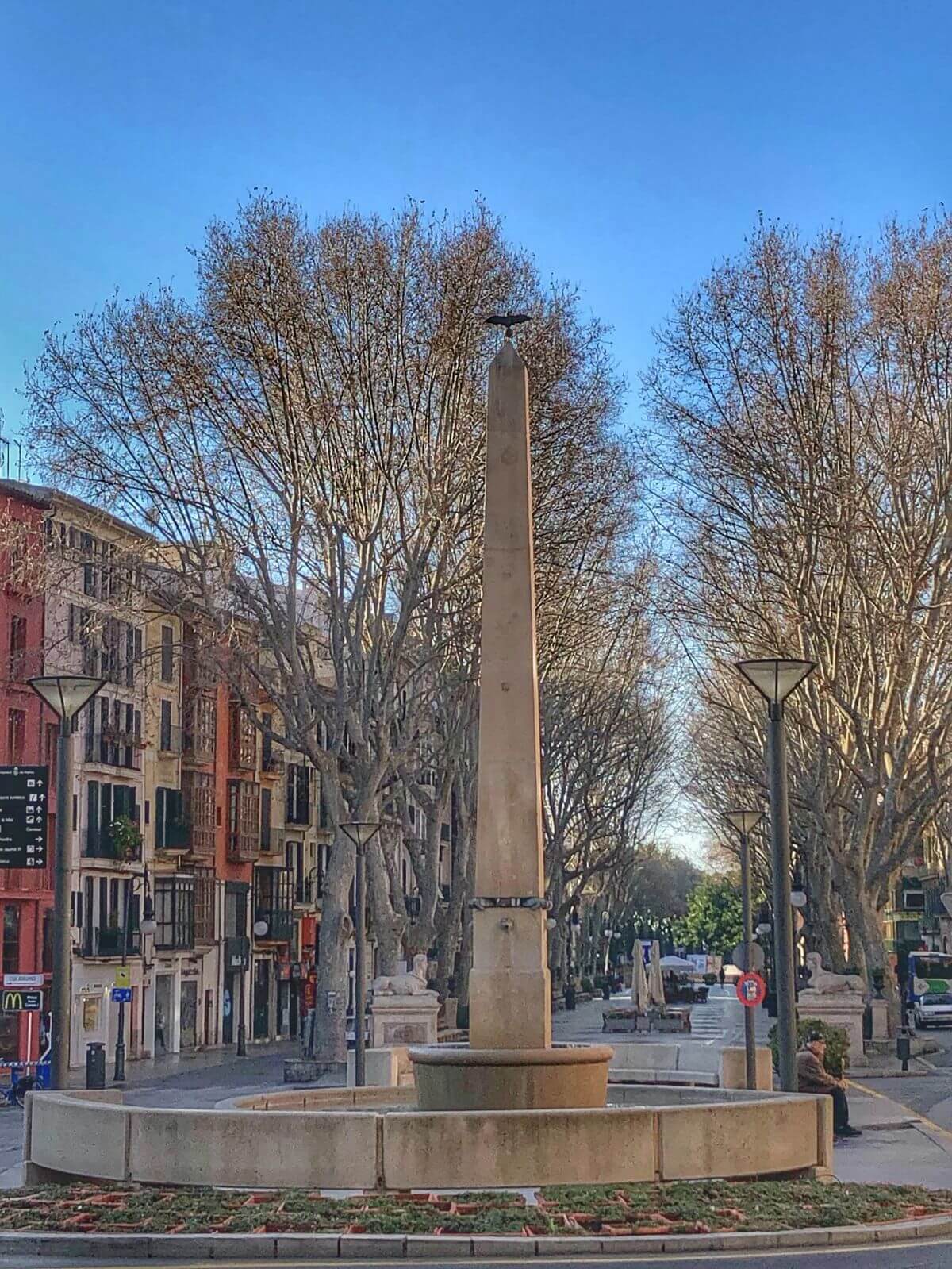 Plaza de las tortugas de Palma