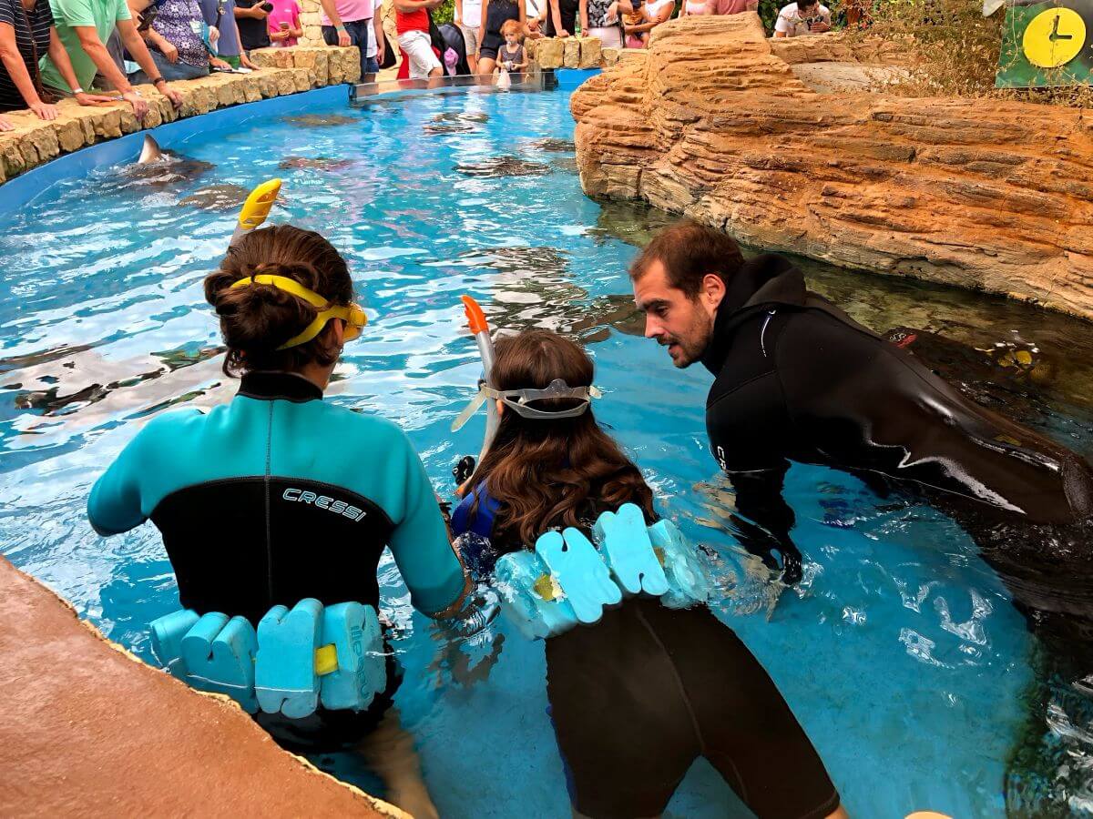 Buceo con rayas en Palma Aquarium