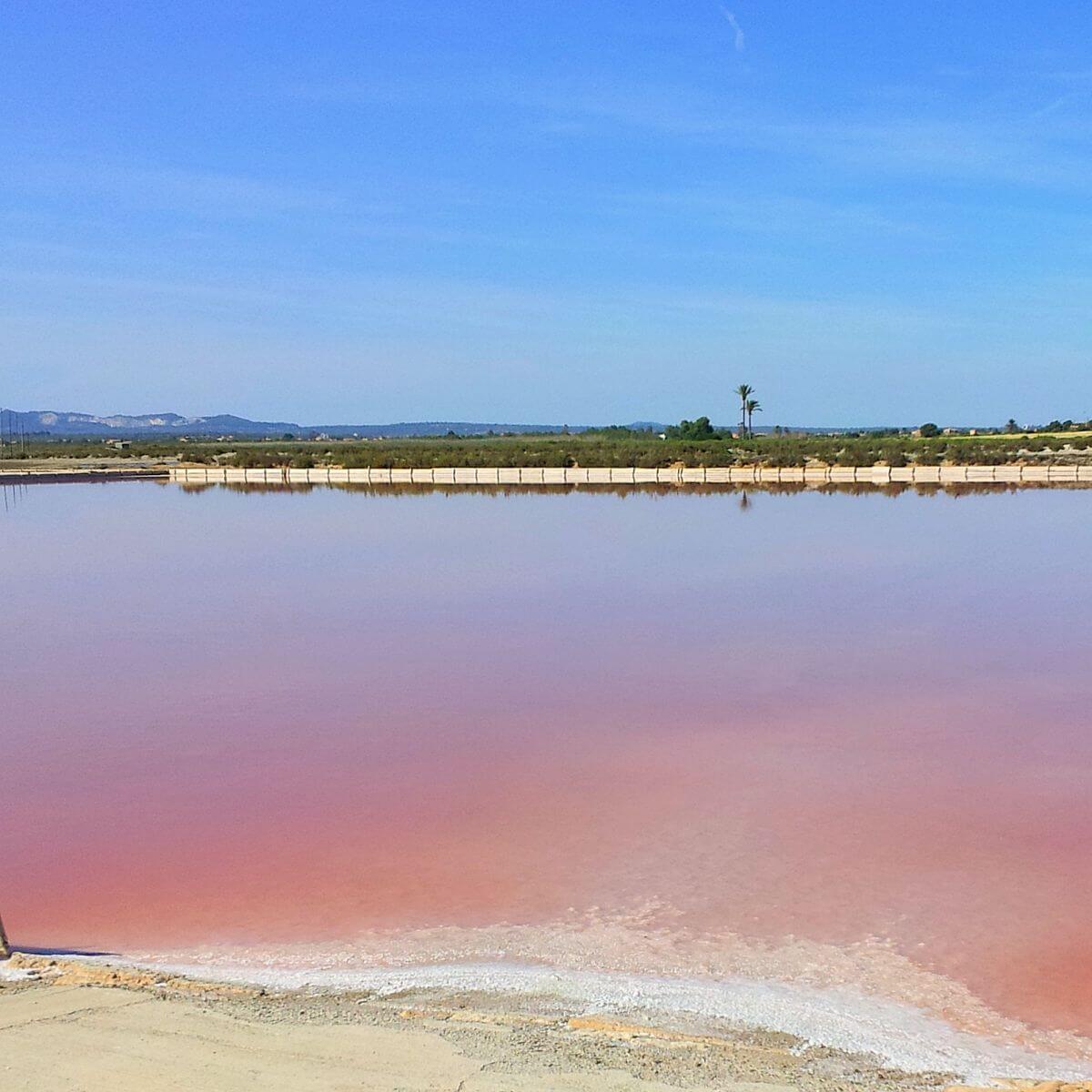Agua rosa en Ses Salines des Trenc