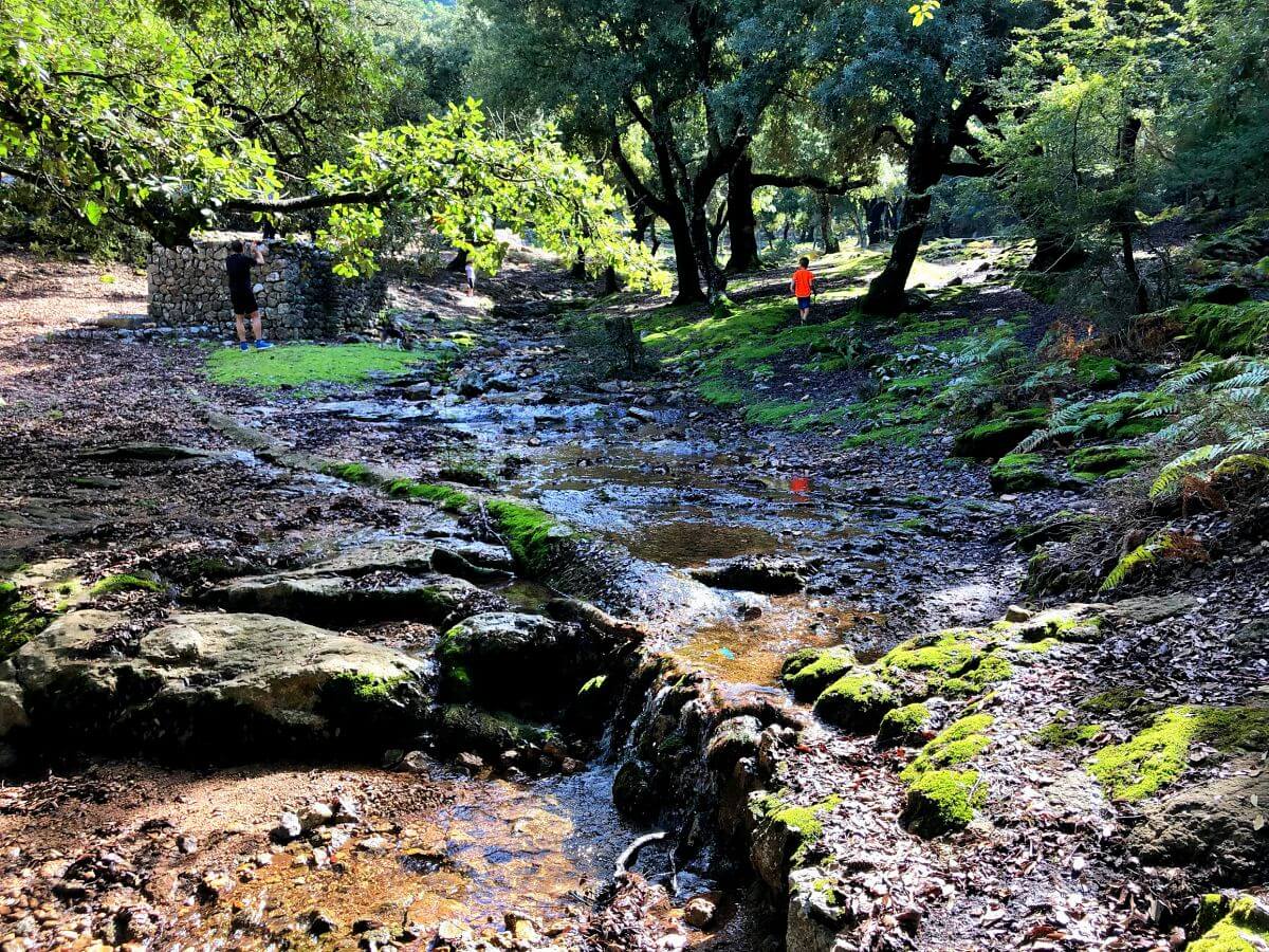 Excursión circular desde Refugi de Son Amer pasando por Cases de Binifaldó