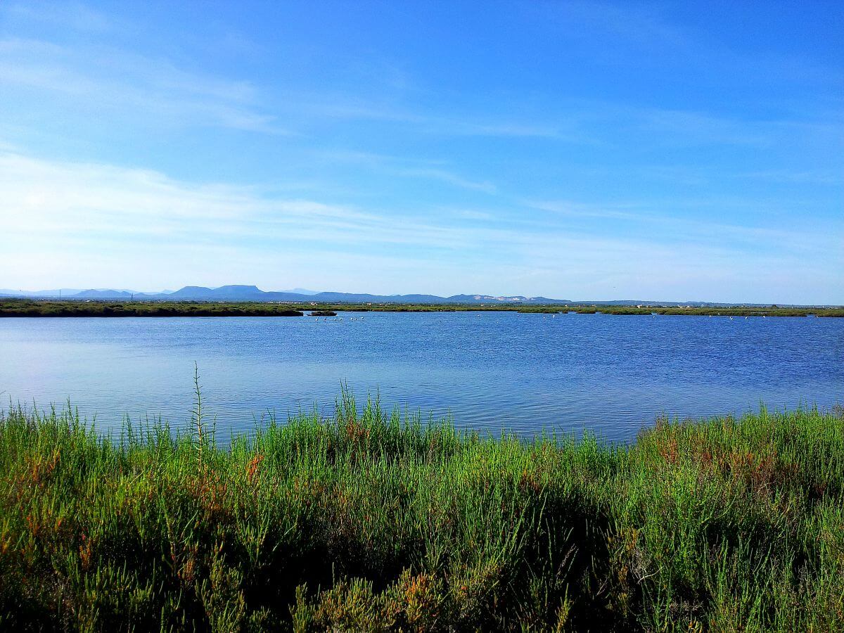 Ses Salines des Trenc