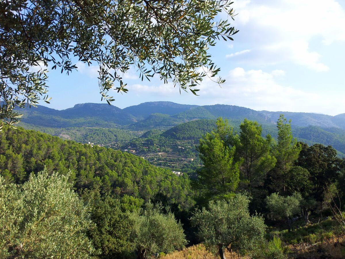 Finca Son Mas en Esporles