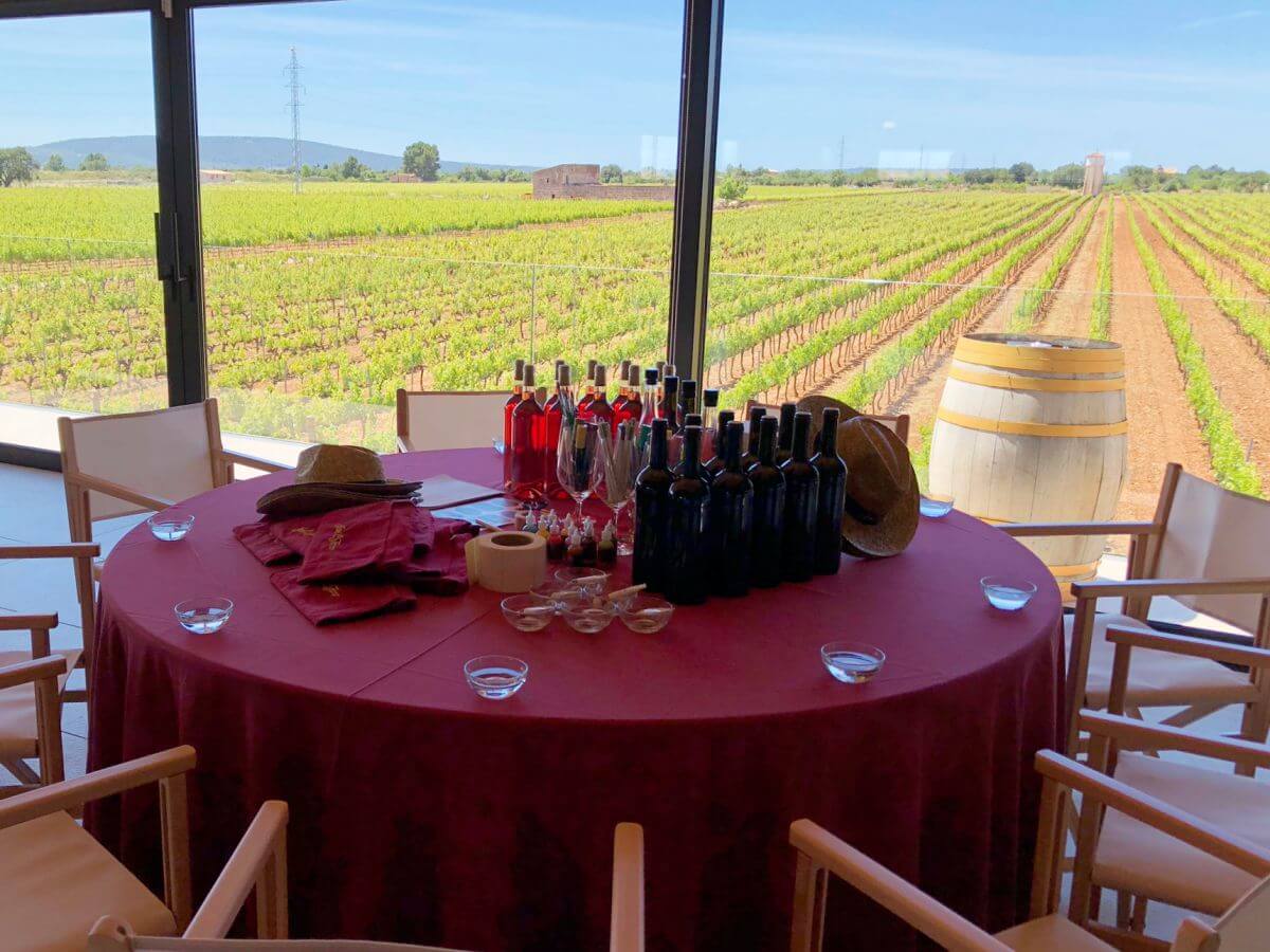 Taller en bodegas José Luis Ferrer en Binissalem