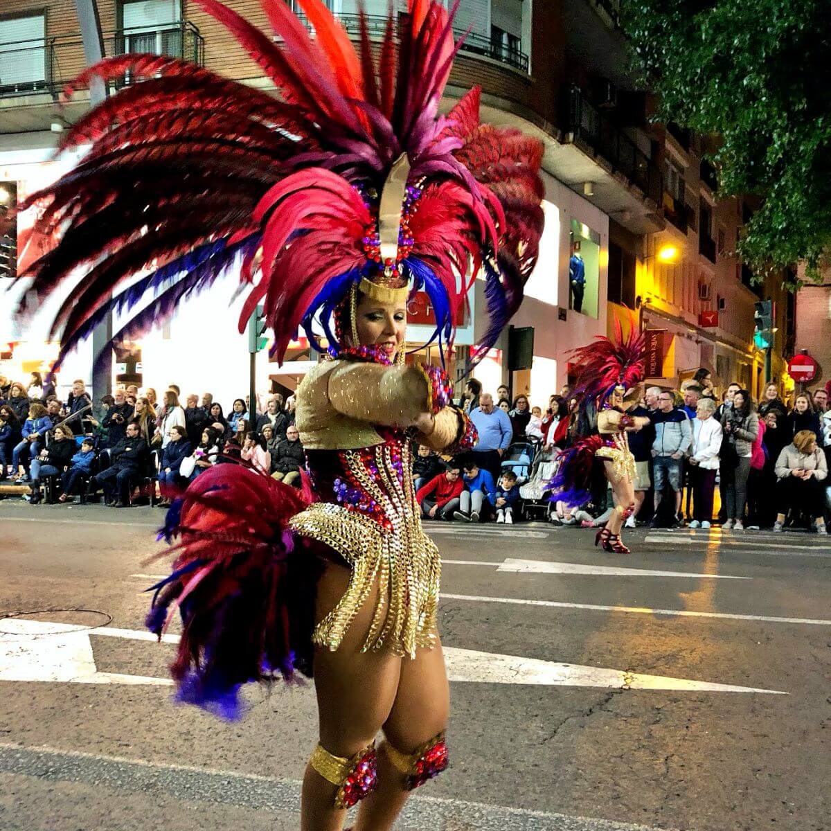 Testamento de la Sardina desfile