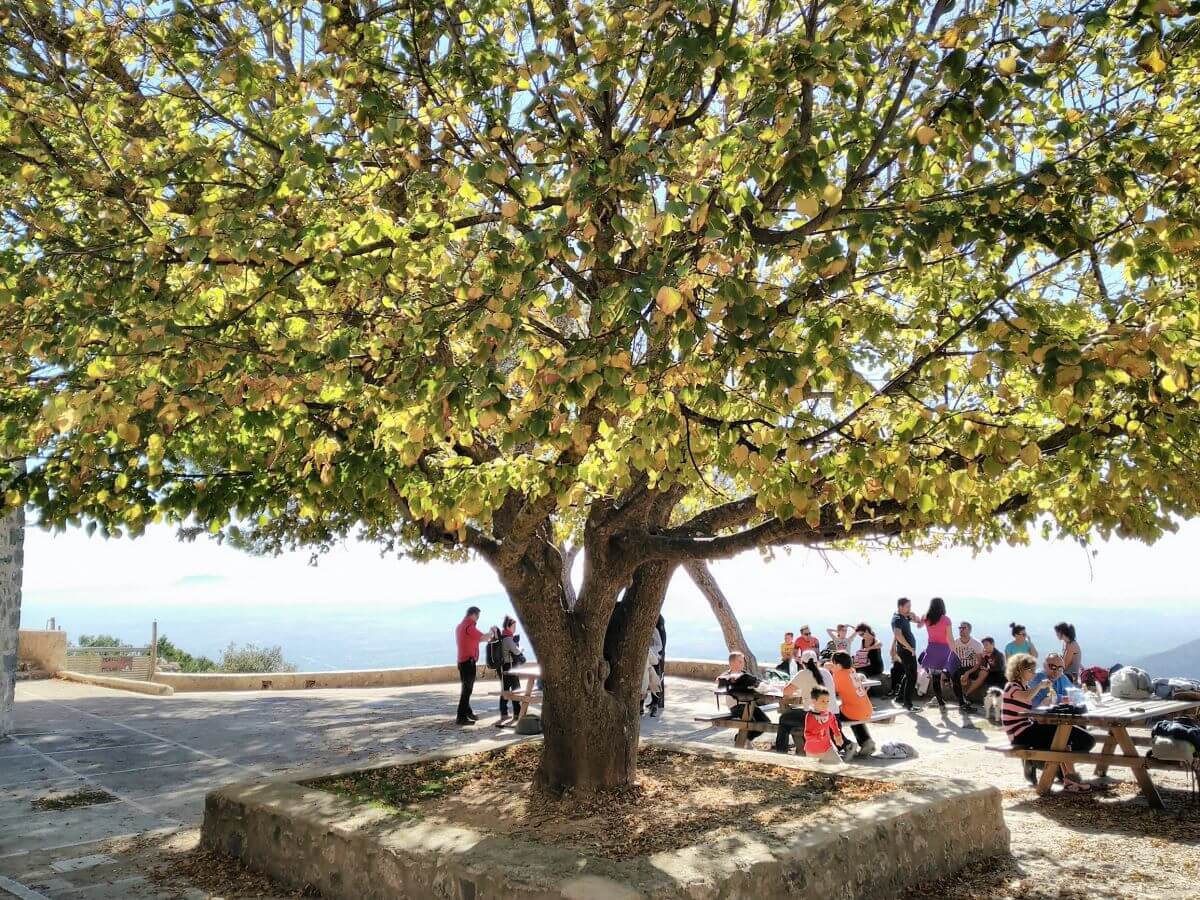 Excursión Castell d'Alaró