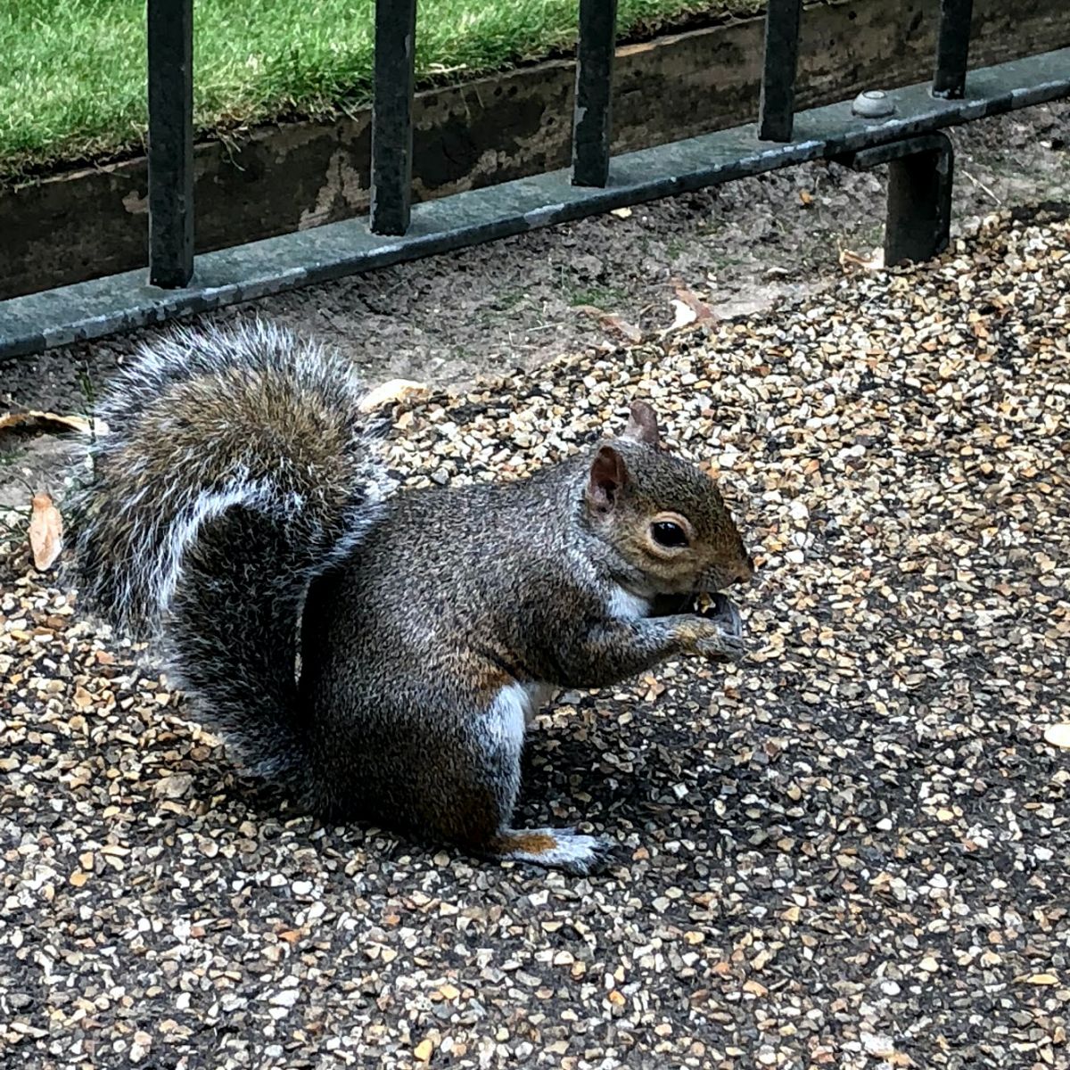 Hyde Park en Londres