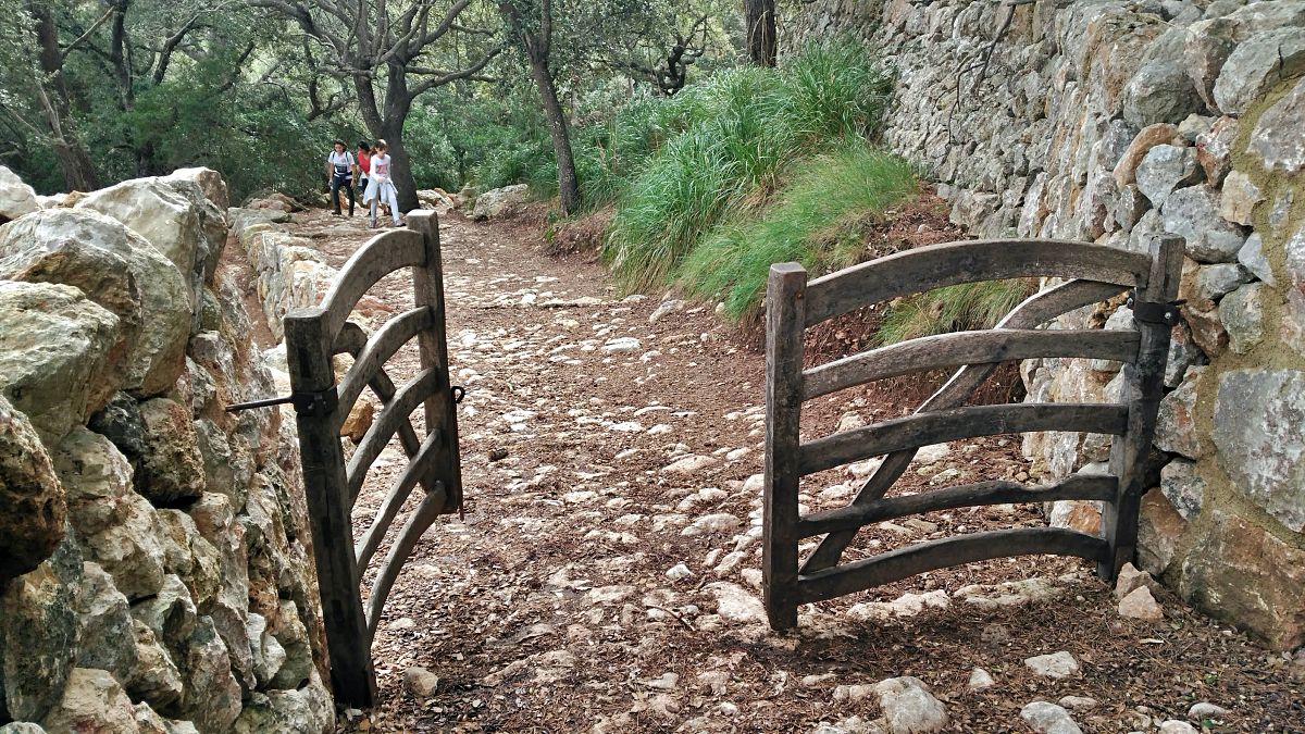 Excursión Camí des Correu