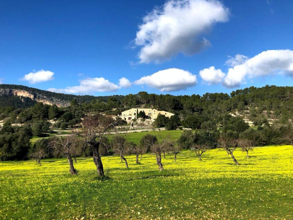 Excursión Camino de naturaleza Es Capdellà