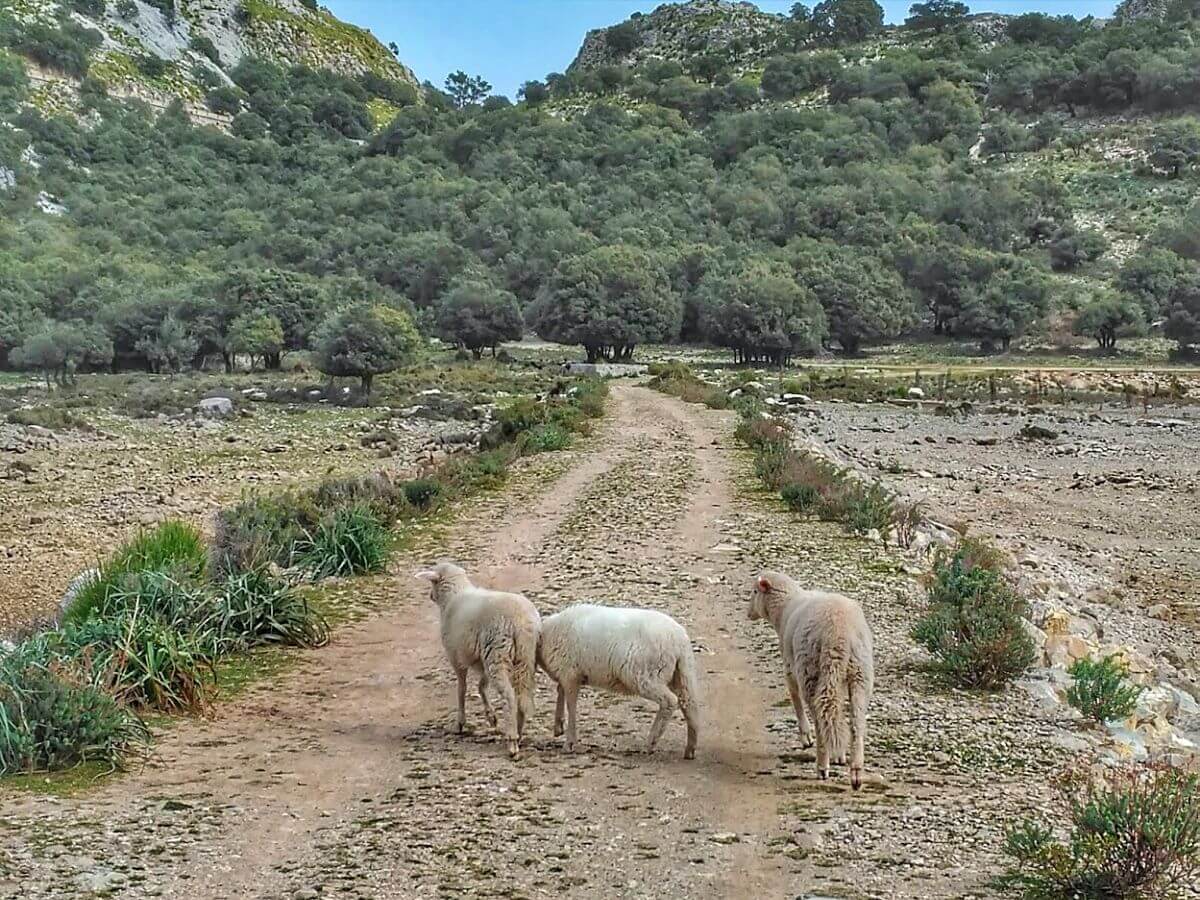Excursión por embalse de Cúber