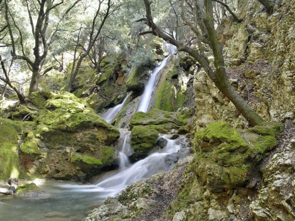 Excursión Es Salt des Freu