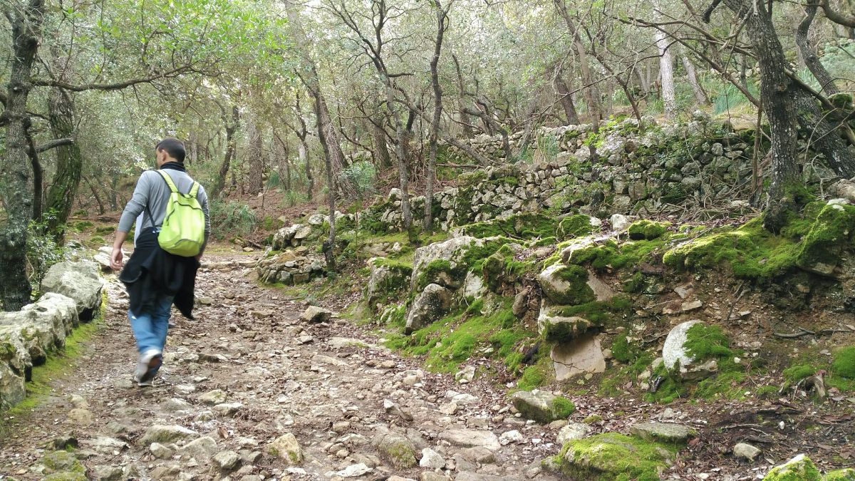 Excursión Camí des Correu