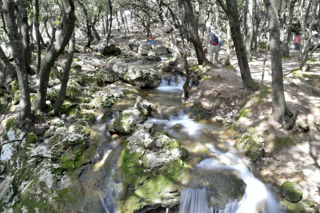 Excursión Es Salt des Freu