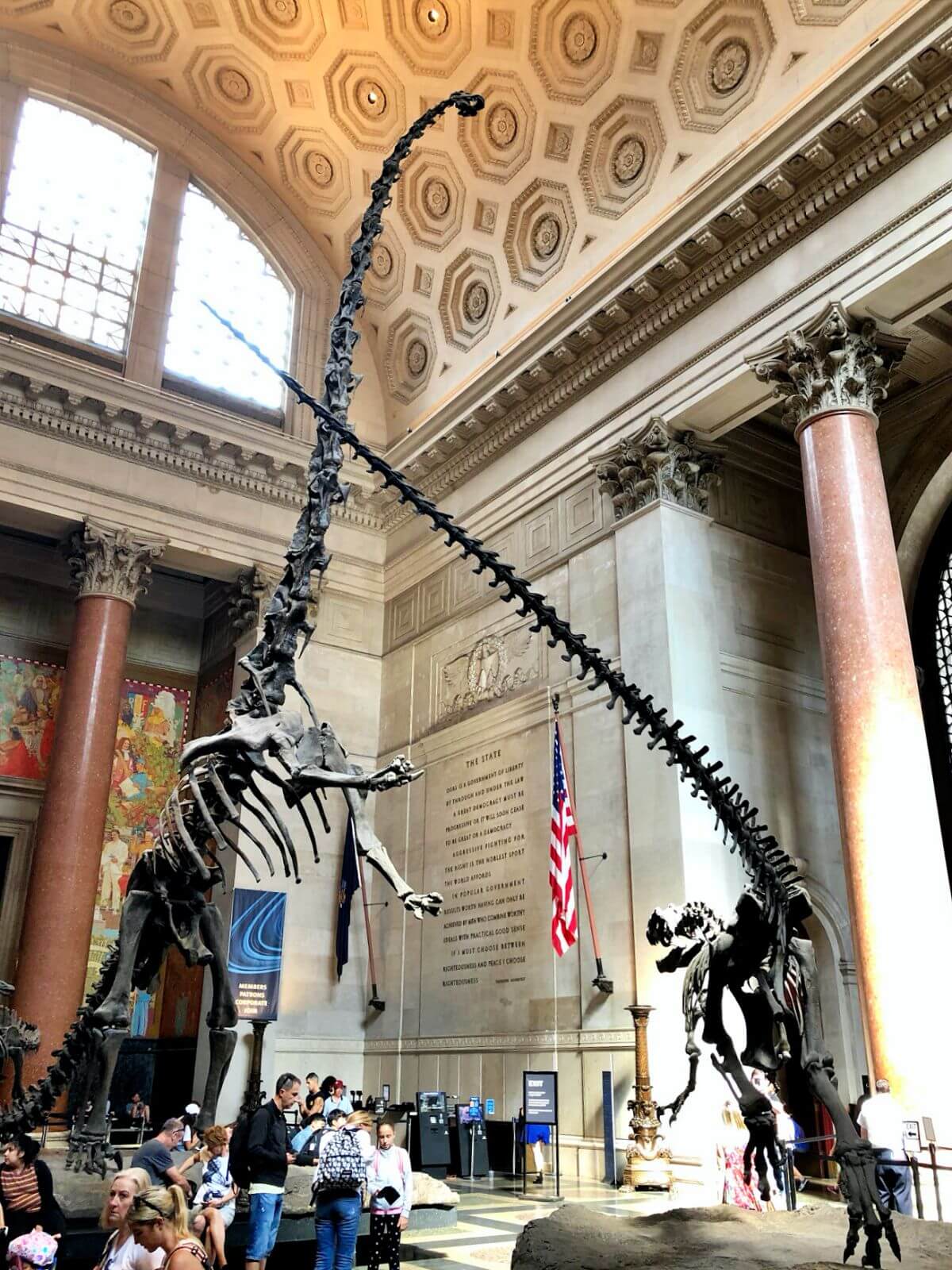 Museo de Historia Natural de Nueva York