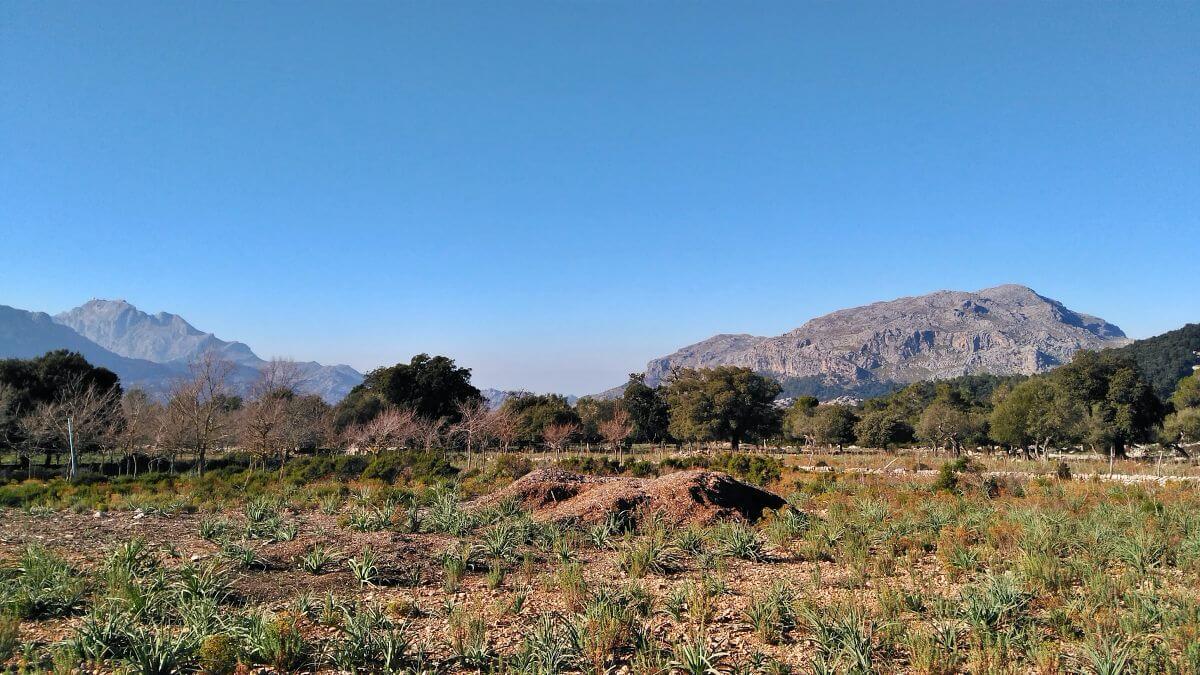 Excursión por las fincas públicas de Menut y Binifaldó