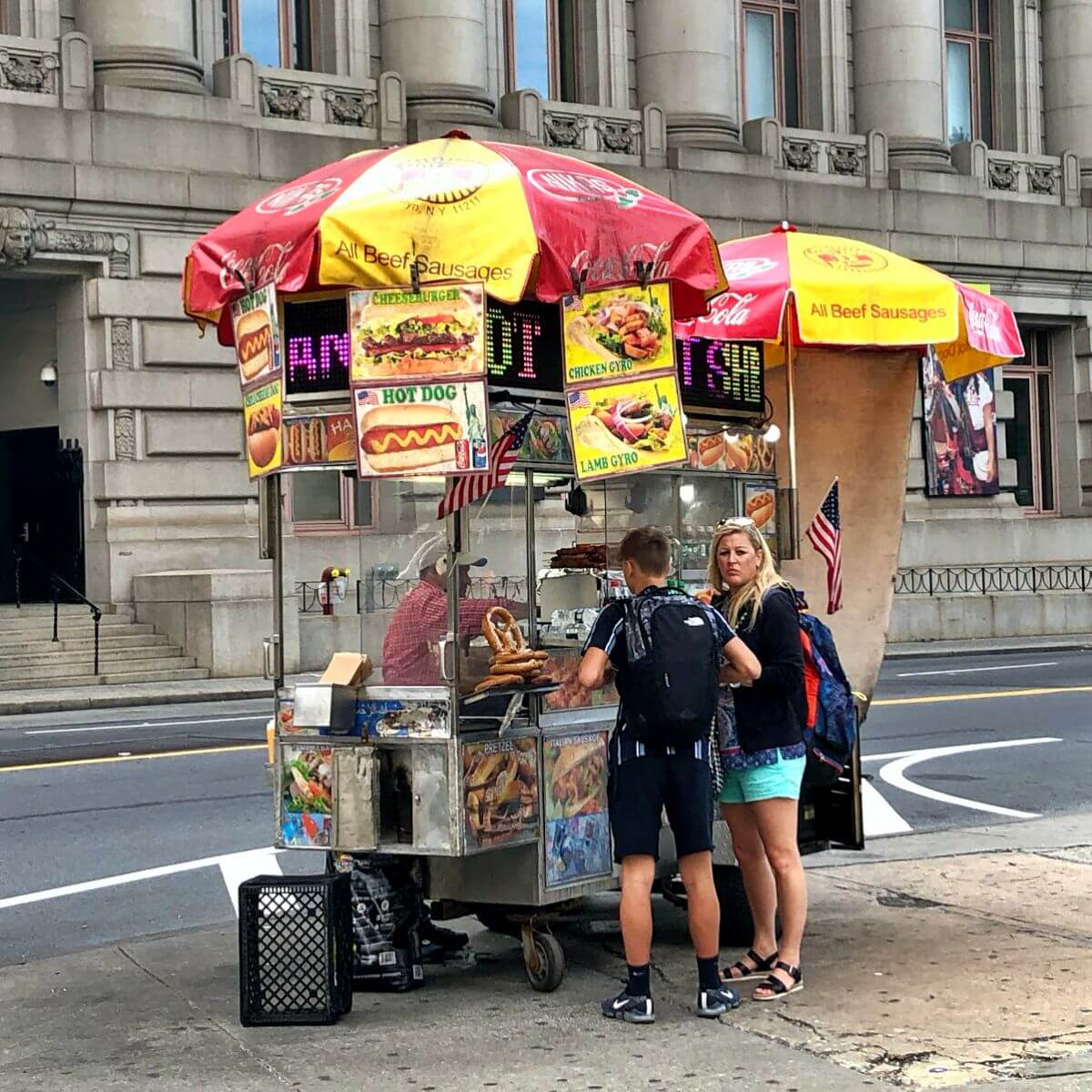 Perritos callejeros en Nueva York