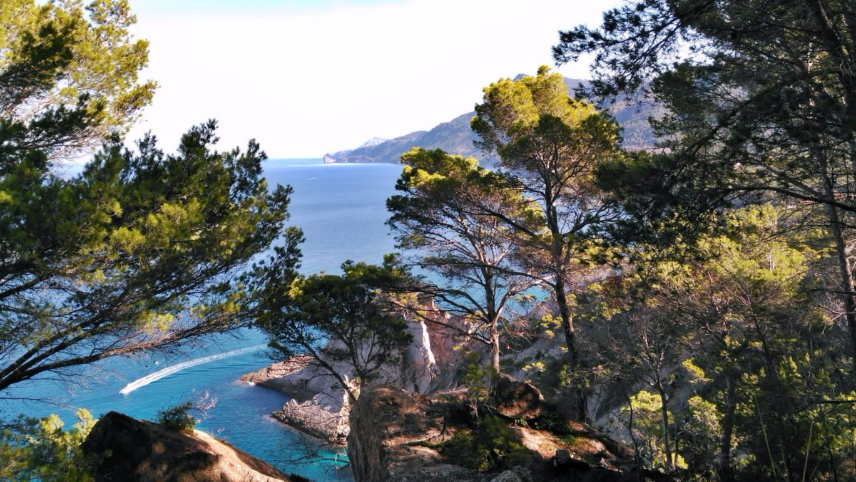 Excursi n Cam De Sa Volta Des General Turisme Petit
