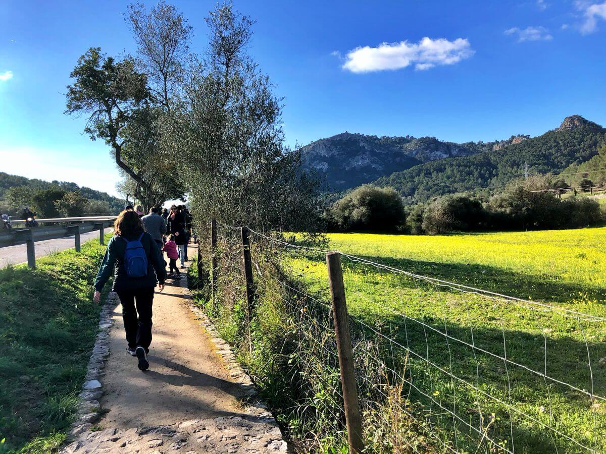 Excursión Camino de naturaleza Es Capdellà