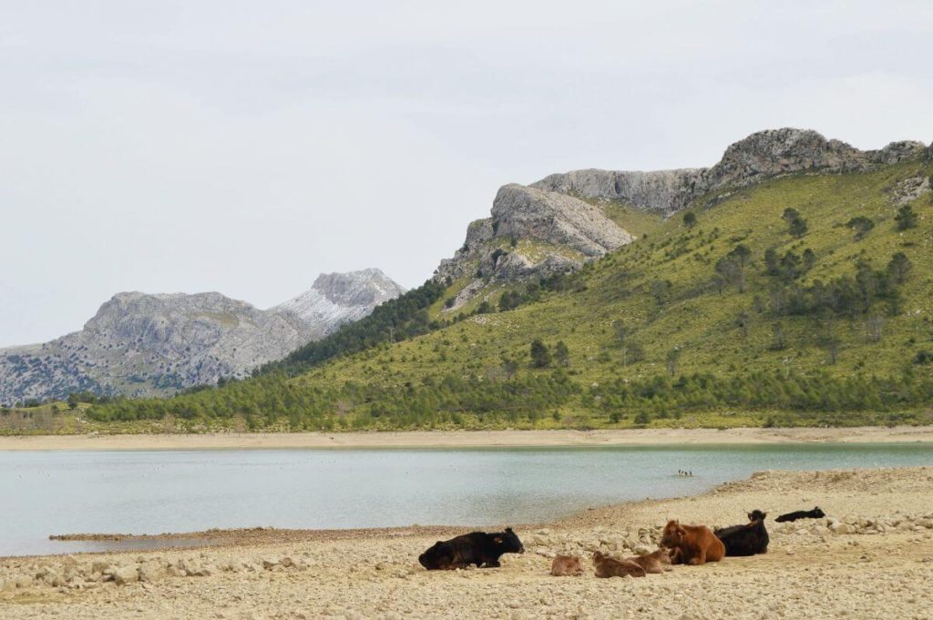 Excursión por embalse de Cúber