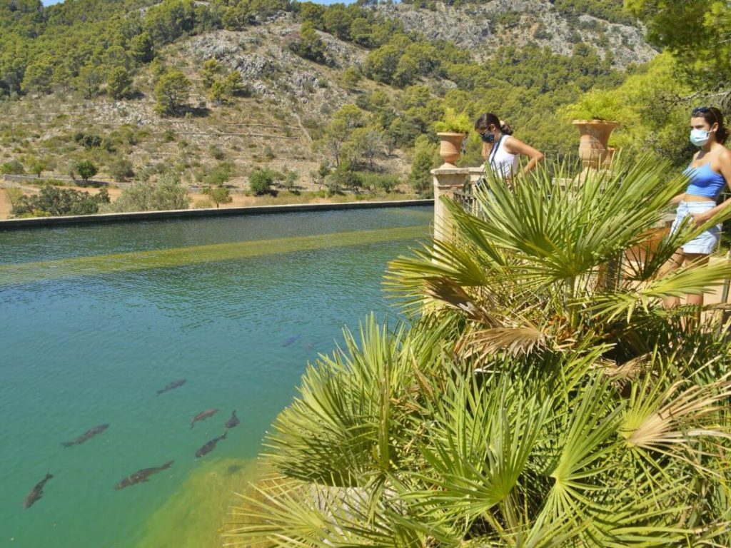 La finca de Raixa