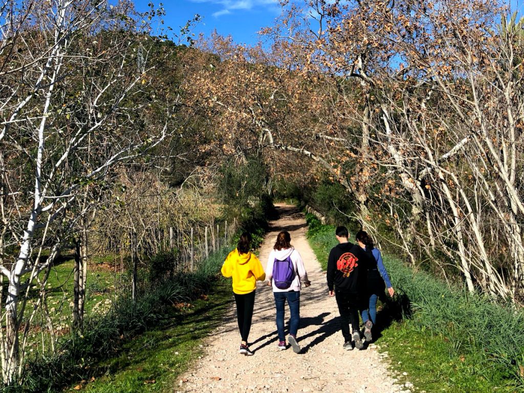 Que hacer en Mallorca con niños