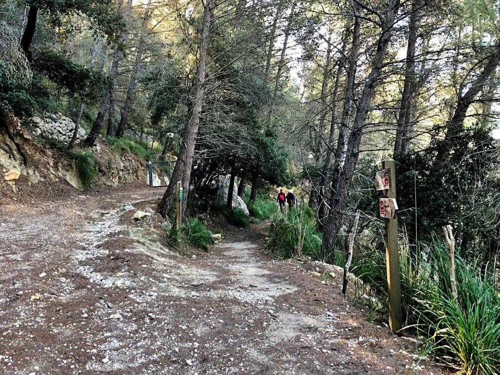 Excursión al Puig de Na Bauçana