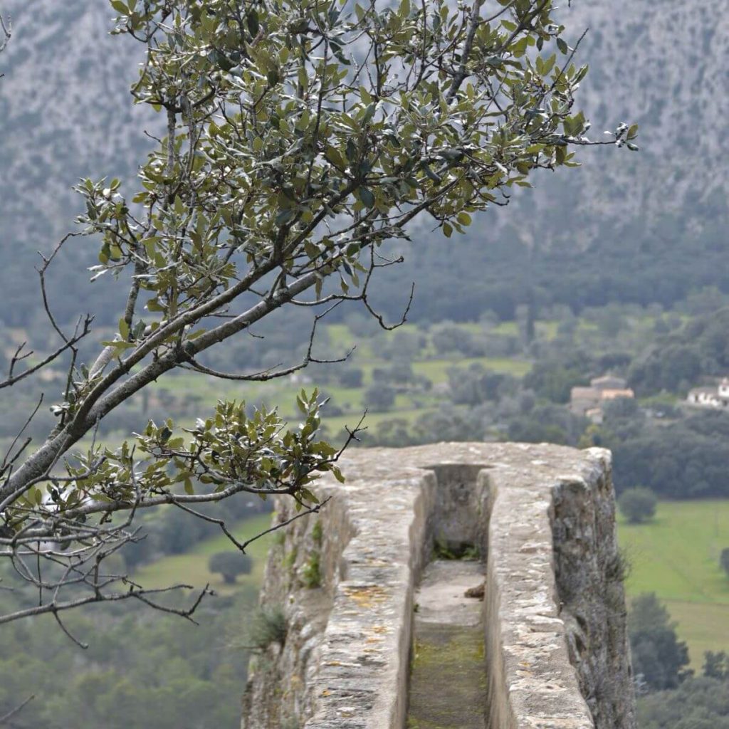 Excursion para ver Els Molins de Llinars