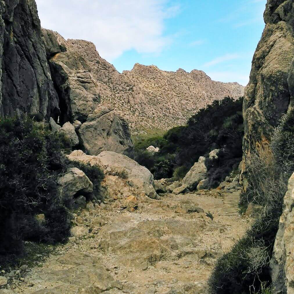 Excursión Cala Boquer en Pollença