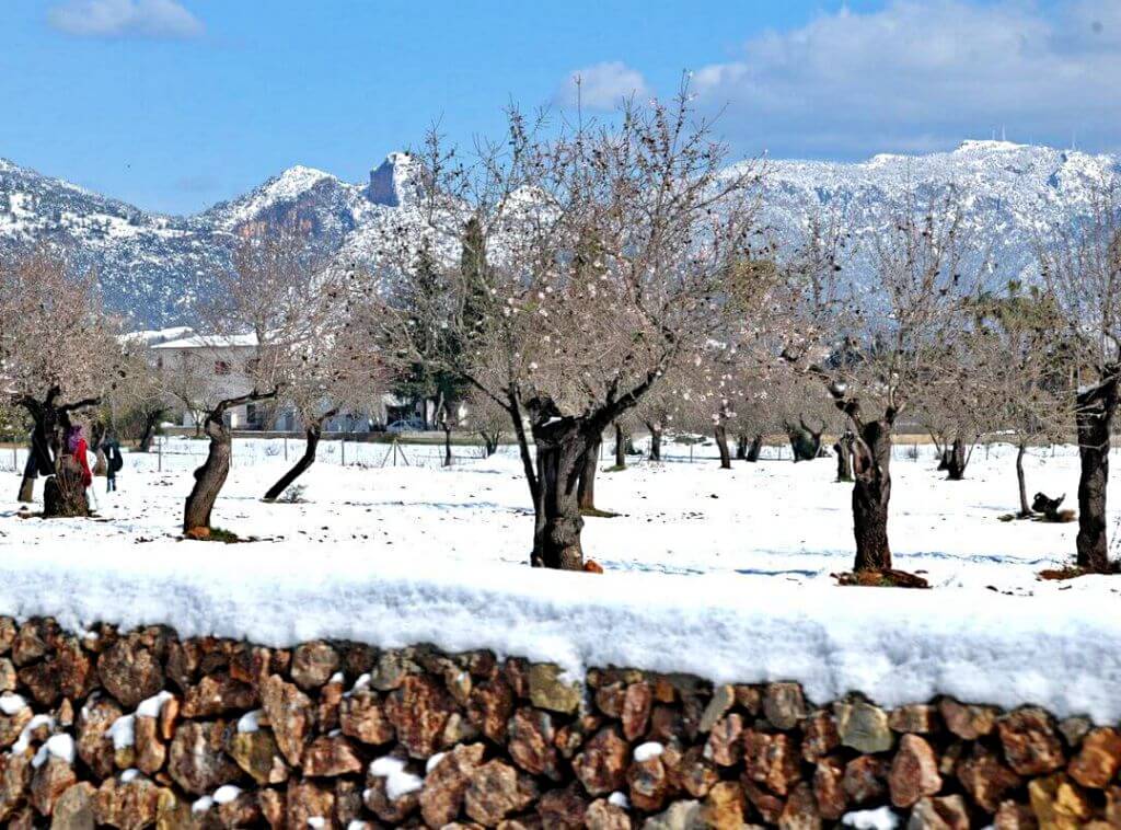 Nieve en Mallorca