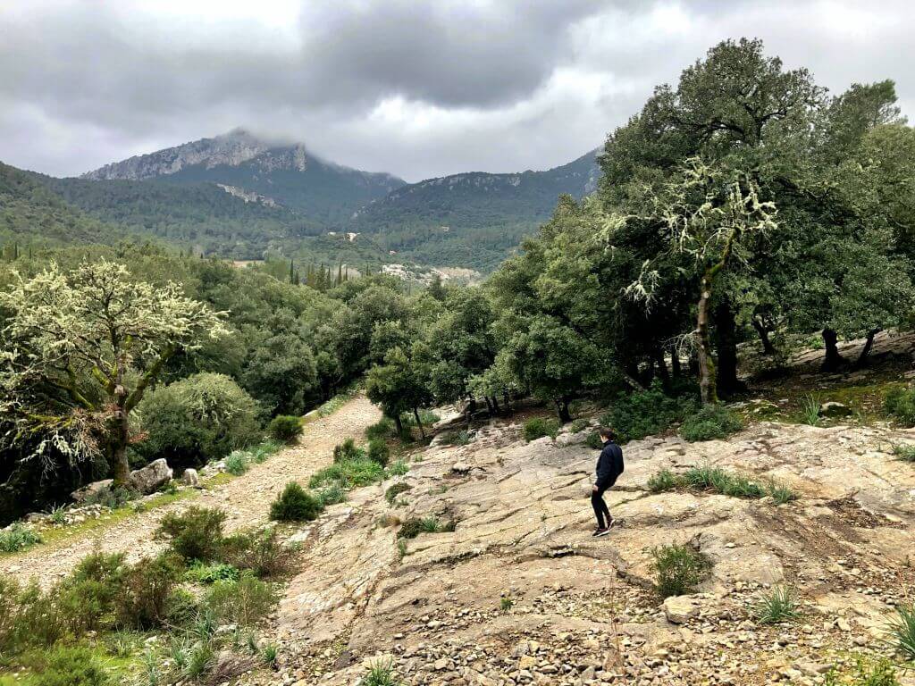 Camí Vell de Pollença a Lluc