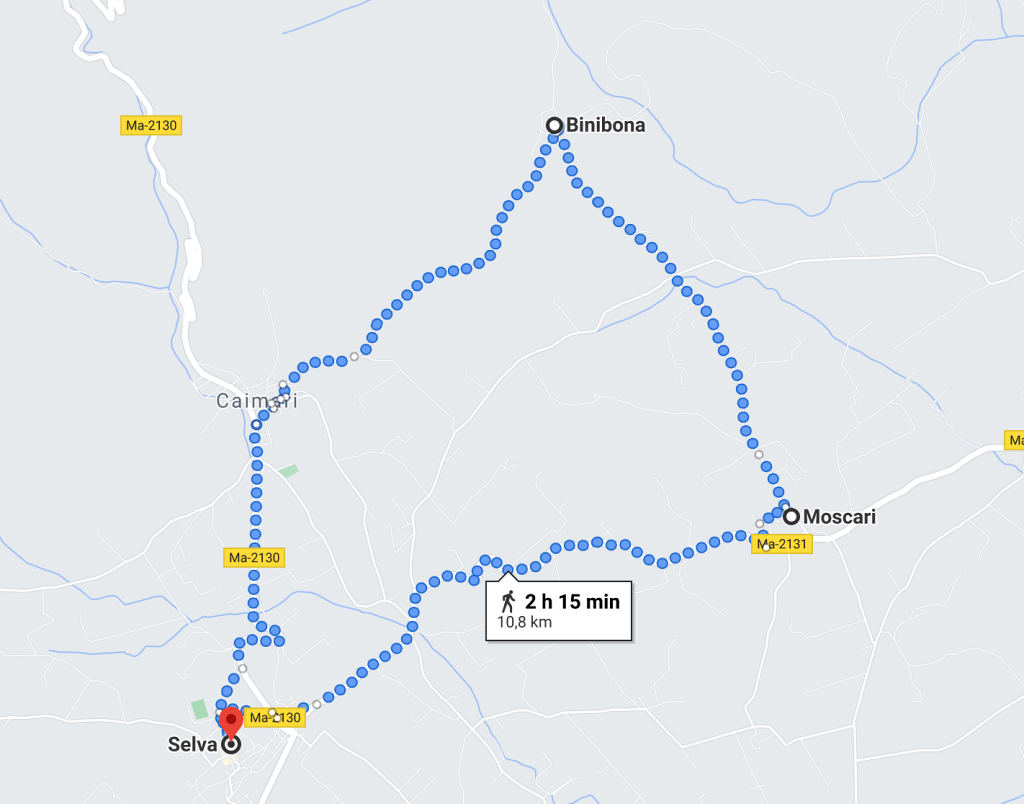 Ruta circular para ver los almendros en flor en Mallorca