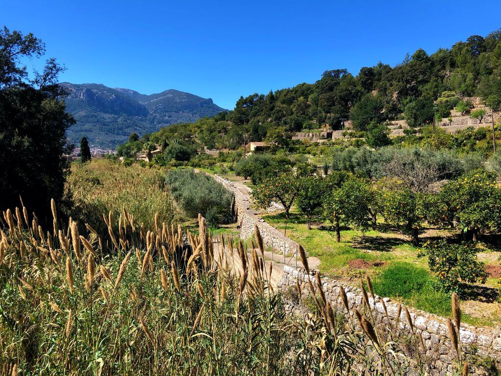 Alrededores de Fornalutx