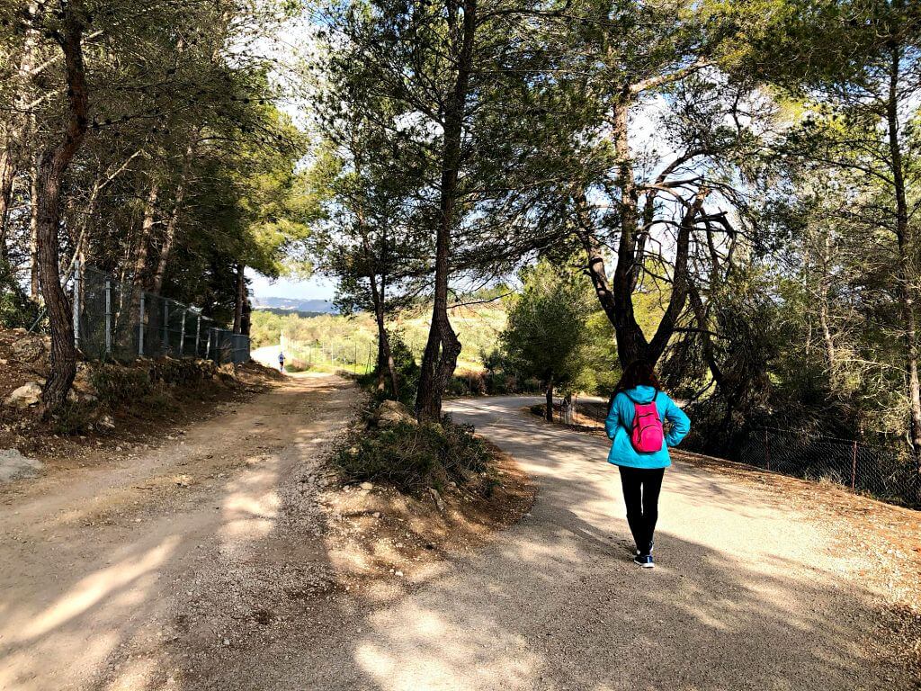 Desvio no señalizado para llegar al Puig de Sant Nofre