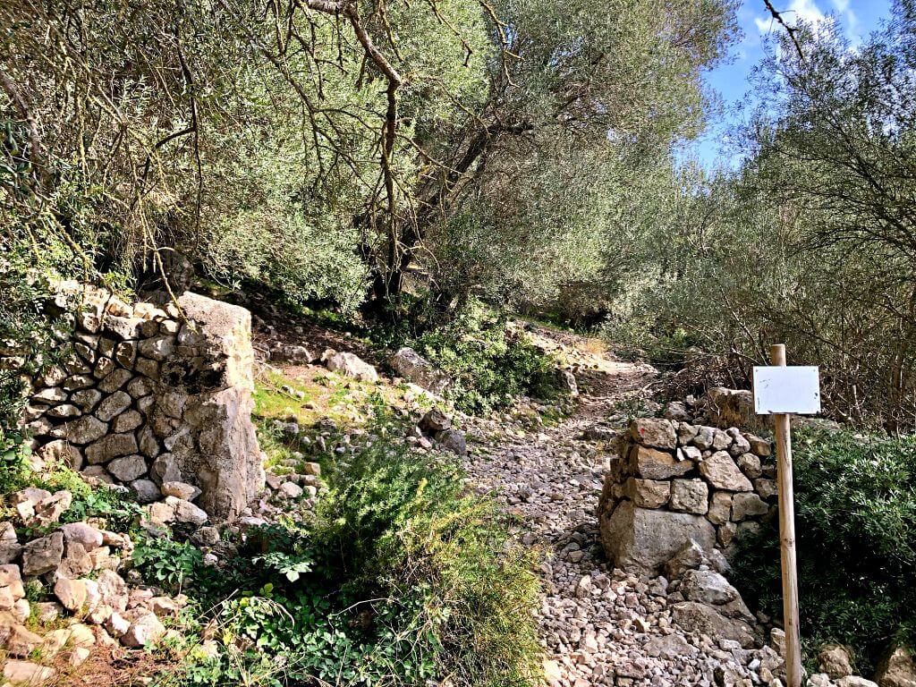 Subida al Puig de Sant Nofre