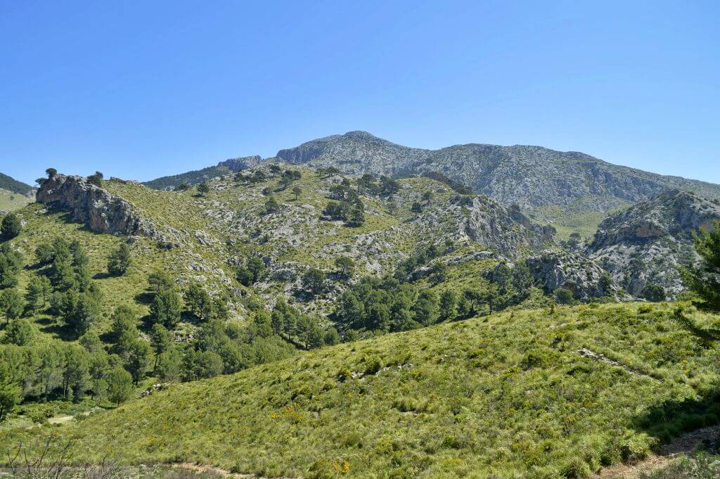 Puig de Galatzó