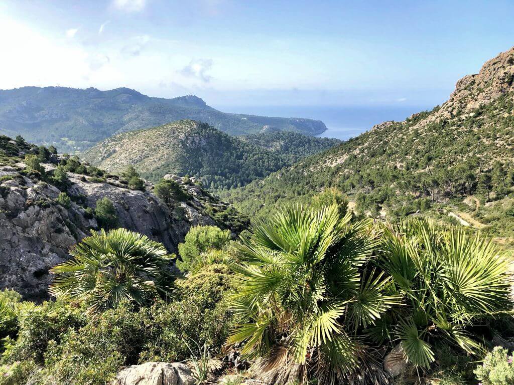 Vistas desde la excursión de la Trapa