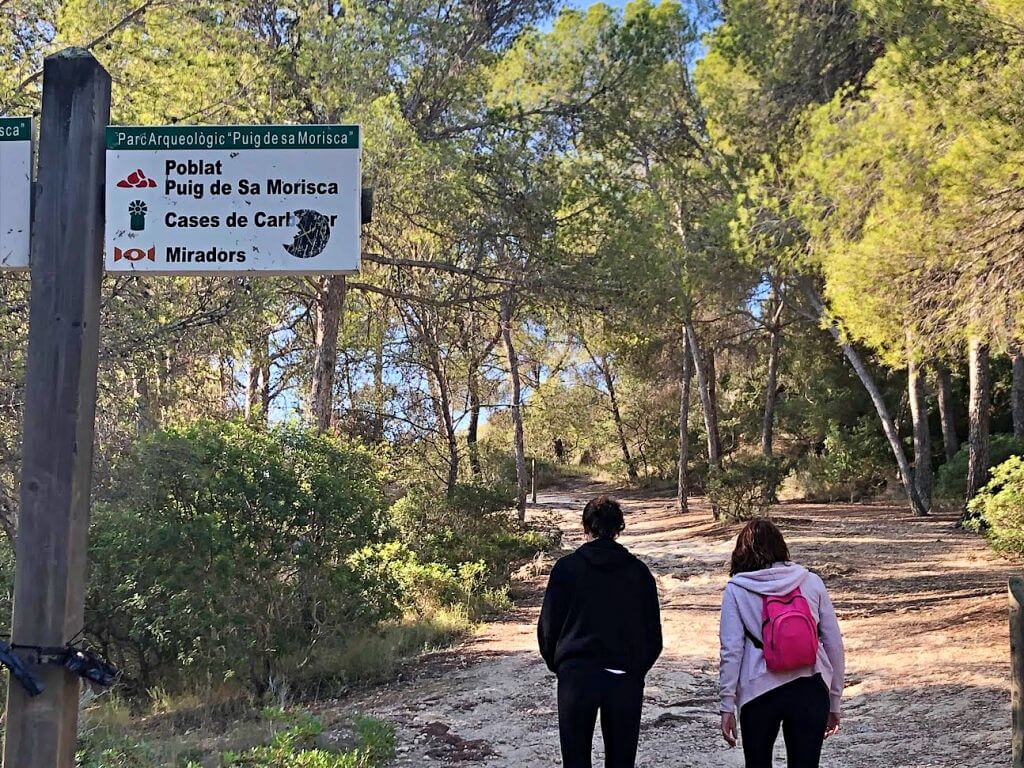 Propuesta de excursión por el Puig de Sa Morisca