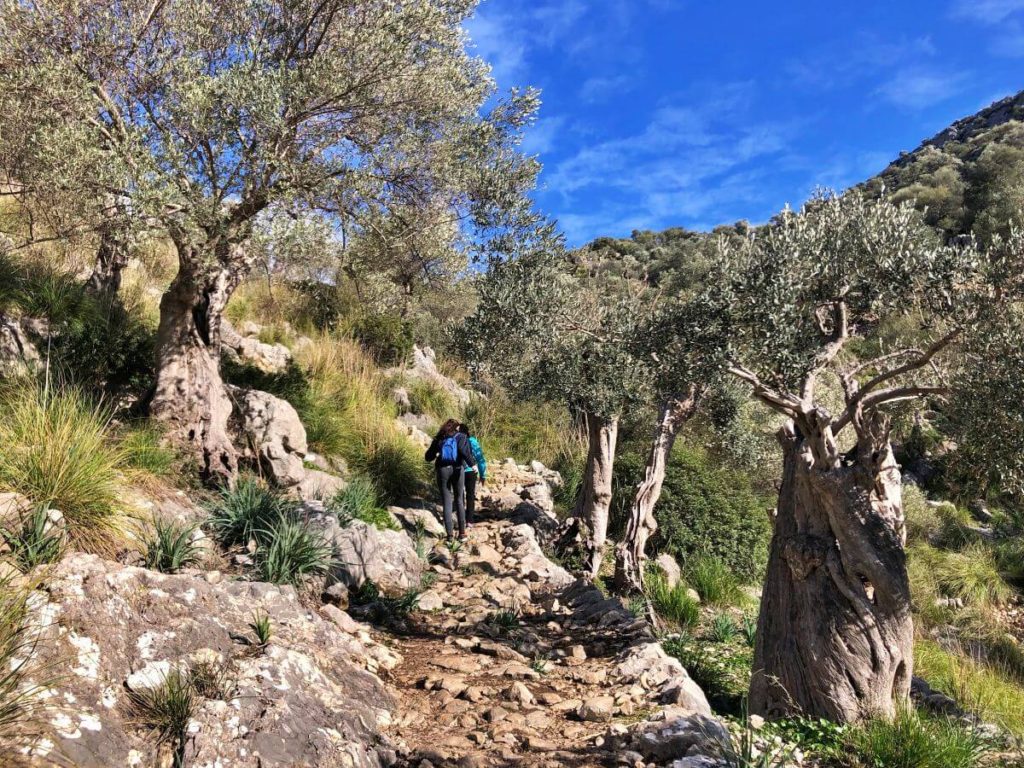 Excursión Tossals Verds desde Lloseta