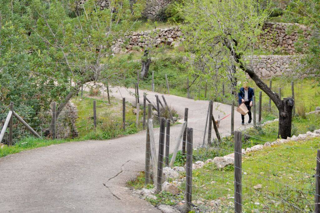 Camino hacia Binibassí