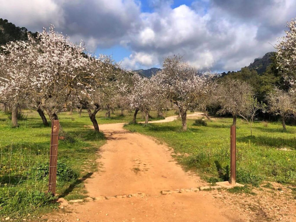 Excursión por los alrededores de Raixeta